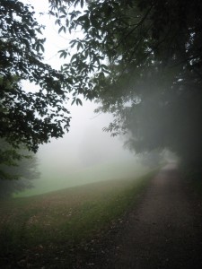 misty road